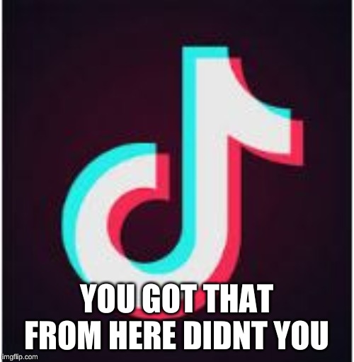 Tik Tok | YOU GOT THAT FROM HERE DIDNT YOU | image tagged in tik tok | made w/ Imgflip meme maker