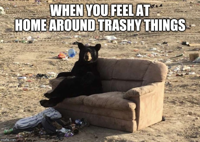 Trash | WHEN YOU FEEL AT HOME AROUND TRASHY THINGS | image tagged in trash | made w/ Imgflip meme maker