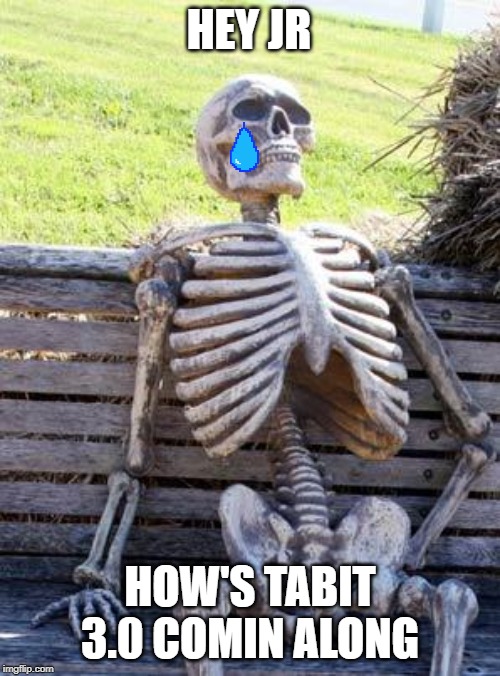 TabIt 3.0 is on the way. | HEY JR; HOW'S TABIT 3.0 COMIN ALONG | image tagged in memes,waiting skeleton | made w/ Imgflip meme maker
