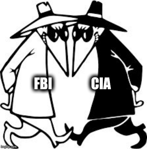 spy vs spy | FBI               CIA | image tagged in spy vs spy | made w/ Imgflip meme maker