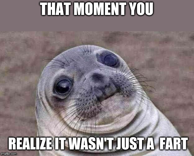 Awkward Moment Sealion Meme | THAT MOMENT YOU; REALIZE IT WASN'T JUST A  FART | image tagged in memes,awkward moment sealion | made w/ Imgflip meme maker