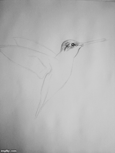 image tagged in gifs | made w/ Imgflip images-to-gif maker