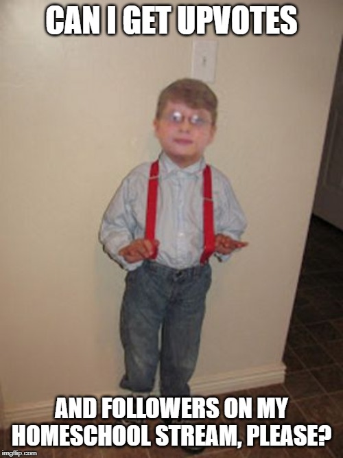 Homeschooler | CAN I GET UPVOTES; AND FOLLOWERS ON MY HOMESCHOOL STREAM, PLEASE? | image tagged in homeschooler | made w/ Imgflip meme maker