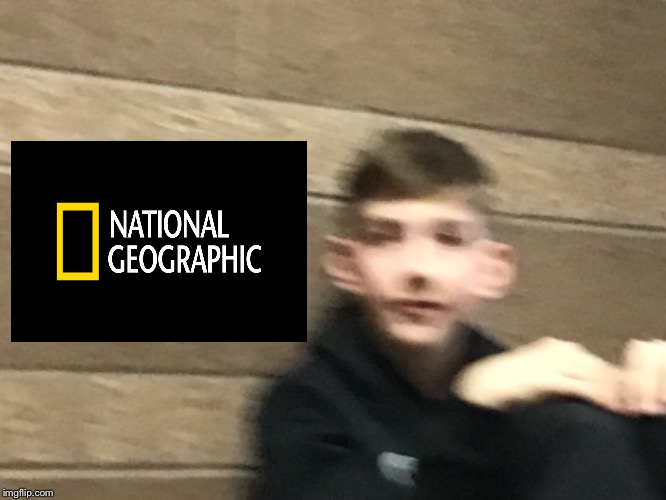 National Geographic’s human | image tagged in funny memes,memes,nature,dumb,national geographic | made w/ Imgflip meme maker