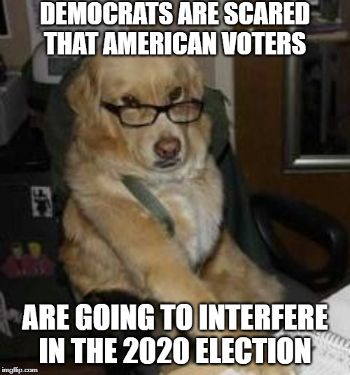 smart dog | DEMOCRATS ARE SCARED THAT AMERICAN VOTERS; ARE GOING TO INTERFERE IN THE 2020 ELECTION | image tagged in smart dog | made w/ Imgflip meme maker