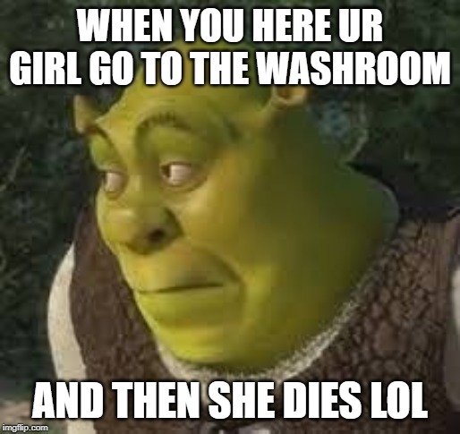 sherk | WHEN YOU HERE UR GIRL GO TO THE WASHROOM; AND THEN SHE DIES LOL | image tagged in sherk | made w/ Imgflip meme maker