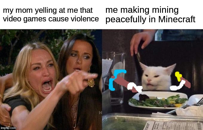 Woman Yelling At Cat | my mom yelling at me that video games cause violence; me making mining peacefully in Minecraft | image tagged in woman yelling at cat,memes | made w/ Imgflip meme maker