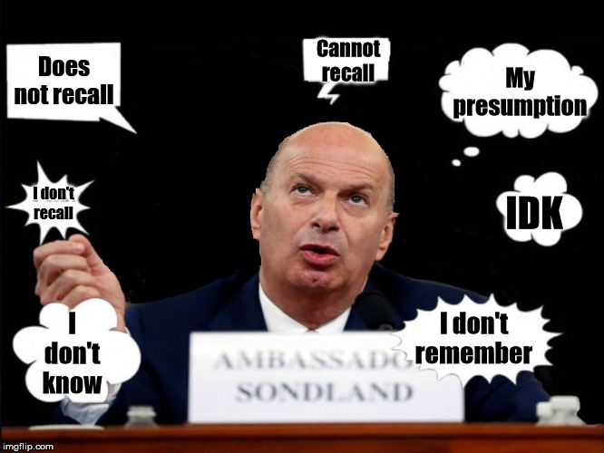 Summary of US Ambassador Gordon Sondland Testimony | Cannot recall; Does not recall; My presumption; I don't recall; IDK; I don't remember; I don't know | image tagged in memes,idk,i don't know,donald trump,impeachment,adam schiff | made w/ Imgflip meme maker