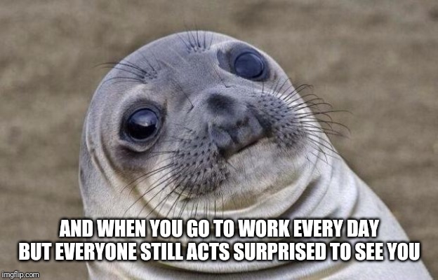 Awkward Moment Sealion Meme | AND WHEN YOU GO TO WORK EVERY DAY BUT EVERYONE STILL ACTS SURPRISED TO SEE YOU | image tagged in memes,awkward moment sealion | made w/ Imgflip meme maker