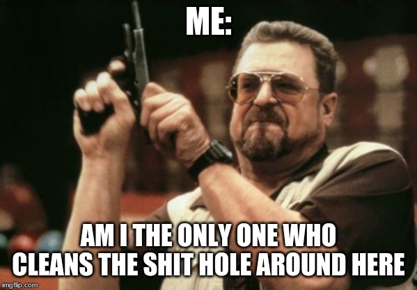 Am I The Only One Around Here Meme | ME:; AM I THE ONLY ONE WHO CLEANS THE SHIT HOLE AROUND HERE | image tagged in memes,am i the only one around here | made w/ Imgflip meme maker