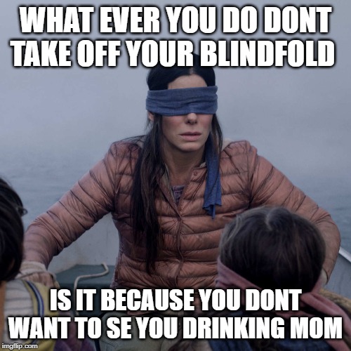 Bird Box Meme | WHAT EVER YOU DO DONT TAKE OFF YOUR BLINDFOLD; IS IT BECAUSE YOU DONT WANT TO SE YOU DRINKING MOM | image tagged in memes,bird box | made w/ Imgflip meme maker
