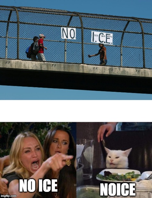 NOICE; NO ICE | image tagged in memes,woman yelling at cat | made w/ Imgflip meme maker