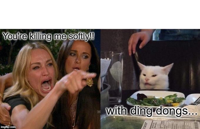 Woman Yelling At Cat Meme | You're killing me softly!! with ding dongs... | image tagged in memes,woman yelling at cat | made w/ Imgflip meme maker