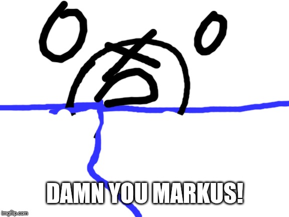 Blank White Template | DAMN YOU MARKUS! | image tagged in blank white template | made w/ Imgflip meme maker