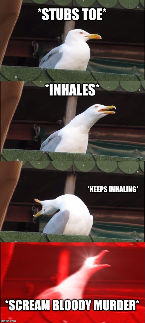 Inhaling Seagull | *STUBS TOE*; *INHALES*; *KEEPS INHALING*; *SCREAM BLOODY MURDER* | image tagged in memes,inhaling seagull | made w/ Imgflip meme maker