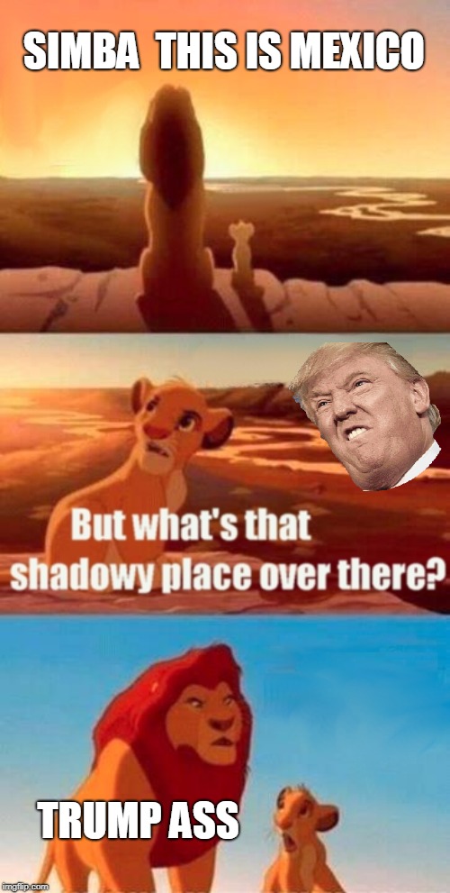 Simba Shadowy Place | SIMBA  THIS IS MEXICO; TRUMP ASS | image tagged in memes,simba shadowy place | made w/ Imgflip meme maker