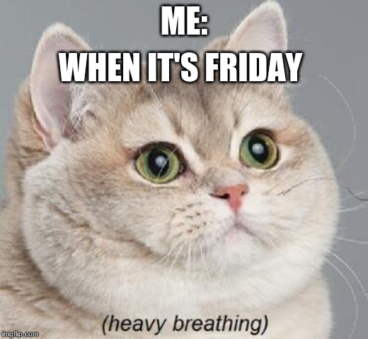 Heavy Breathing Cat | WHEN IT'S FRIDAY; ME: | image tagged in memes,heavy breathing cat | made w/ Imgflip meme maker