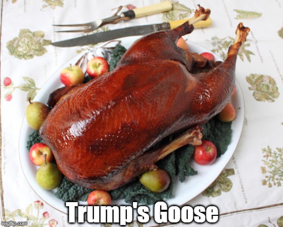 "Trump's Goose" | Trump's Goose | image tagged in despicable donald,deplorable donald,dishonest donald,dishonorable donald,trump,cheater in chief | made w/ Imgflip meme maker