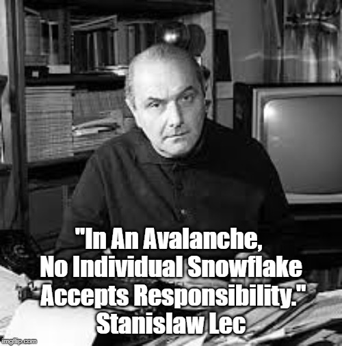 "In An Avalanche, No Single Snowflake..." | "In An Avalanche, 
No Individual Snowflake
 Accepts Responsibility."
Stanislaw Lec | image tagged in stanislaw lec,avalanche,snowflake,responsibility,mob psychology | made w/ Imgflip meme maker