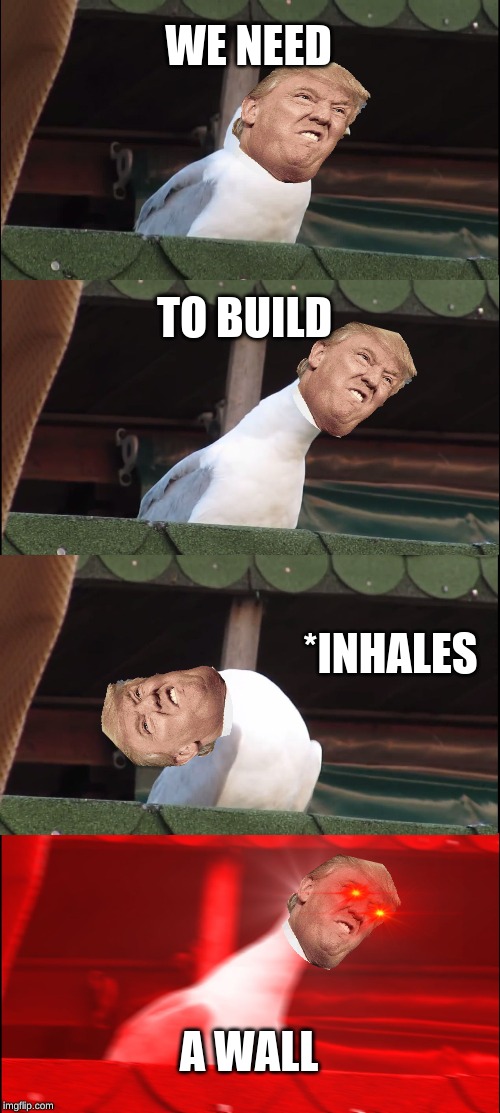 Inhaling Seagull | WE NEED; TO BUILD; *INHALES; A WALL | image tagged in memes,inhaling seagull | made w/ Imgflip meme maker