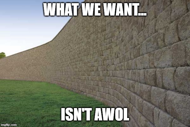 the great wall of mexico | WHAT WE WANT... ISN'T AWOL | image tagged in the great wall of mexico | made w/ Imgflip meme maker
