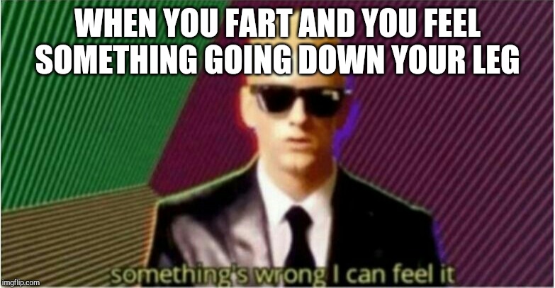 Rap God - Something's Wrong | WHEN YOU FART AND YOU FEEL SOMETHING GOING DOWN YOUR LEG | image tagged in rap god - something's wrong | made w/ Imgflip meme maker