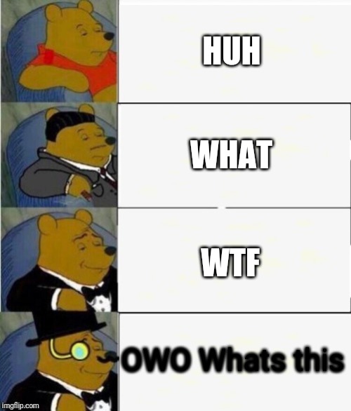 Tuxedo Winnie the Pooh 4 panel | HUH; WHAT; WTF; OWO Whats this | image tagged in tuxedo winnie the pooh 4 panel | made w/ Imgflip meme maker