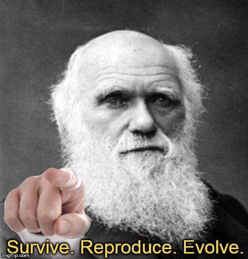 Survive. Reproduce. Evolve. | made w/ Imgflip meme maker