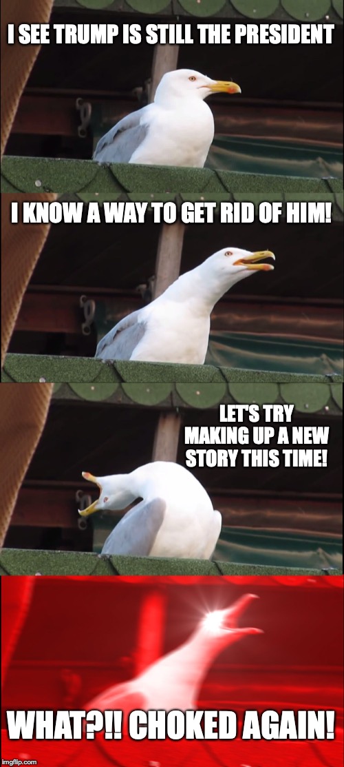 Inhaling Seagull | I SEE TRUMP IS STILL THE PRESIDENT; I KNOW A WAY TO GET RID OF HIM! LET'S TRY MAKING UP A NEW STORY THIS TIME! WHAT?!! CHOKED AGAIN! | image tagged in memes,inhaling seagull | made w/ Imgflip meme maker