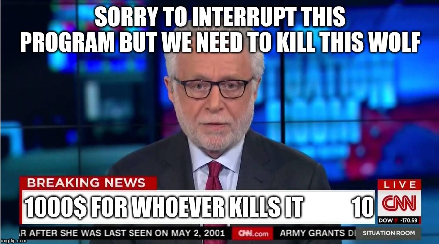 CNN "Wolf of Fake News" Fanfiction | SORRY TO INTERRUPT THIS PROGRAM BUT WE NEED TO KILL THIS WOLF 1000$ FOR WHOEVER KILLS IT 10 | image tagged in cnn wolf of fake news fanfiction | made w/ Imgflip meme maker