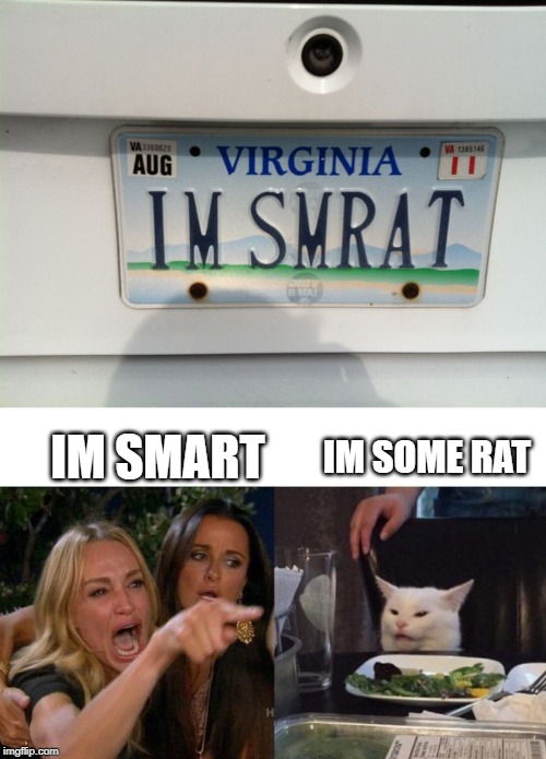 IM SMART; IM SOME RAT | image tagged in memes,woman yelling at cat | made w/ Imgflip meme maker