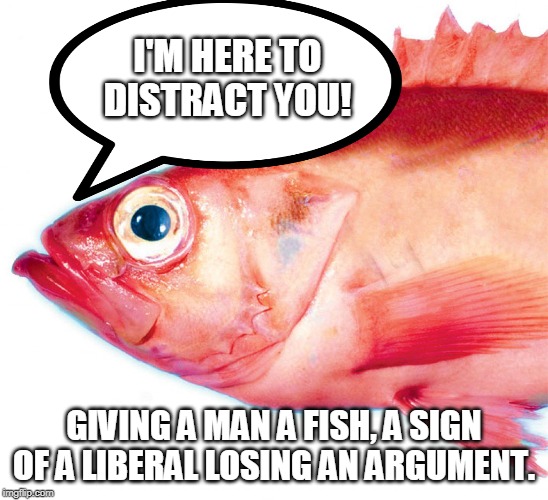 Red Herring | I'M HERE TO DISTRACT YOU! GIVING A MAN A FISH, A SIGN OF A LIBERAL LOSING AN ARGUMENT. | image tagged in red herring | made w/ Imgflip meme maker