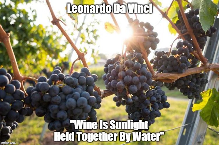 Leonardo Da Vinci "Wine Is Sunlight Held Together By Water" | made w/ Imgflip meme maker