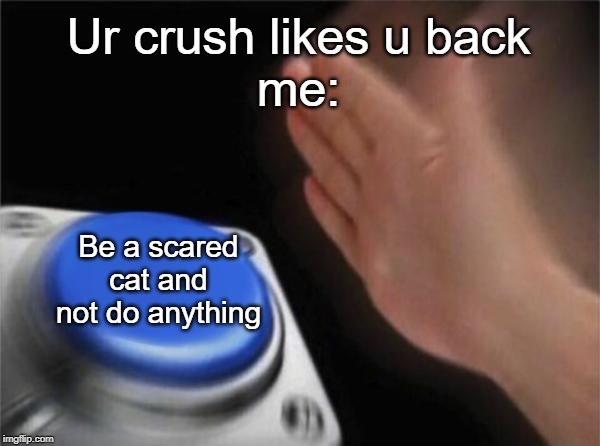 Blank Nut Button Meme | Ur crush likes u back
me:; Be a scared cat and not do anything | image tagged in memes,blank nut button | made w/ Imgflip meme maker