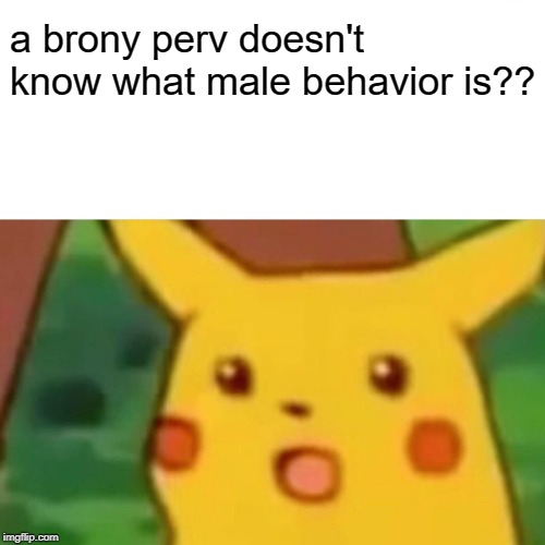 Surprised Pikachu Meme | a brony perv doesn't know what male behavior is?? | image tagged in memes,surprised pikachu | made w/ Imgflip meme maker
