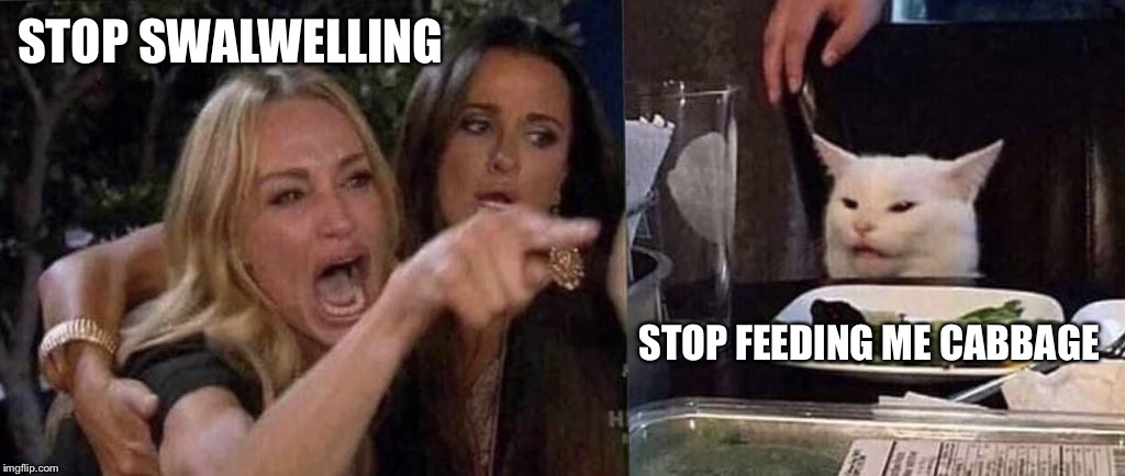 woman yelling at cat | STOP SWALWELLING; STOP FEEDING ME CABBAGE | image tagged in woman yelling at cat | made w/ Imgflip meme maker