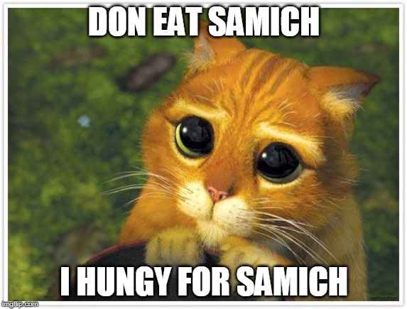 Shrek Cat | DON EAT SAMICH; I HUNGY FOR SAMICH | image tagged in memes,shrek cat | made w/ Imgflip meme maker