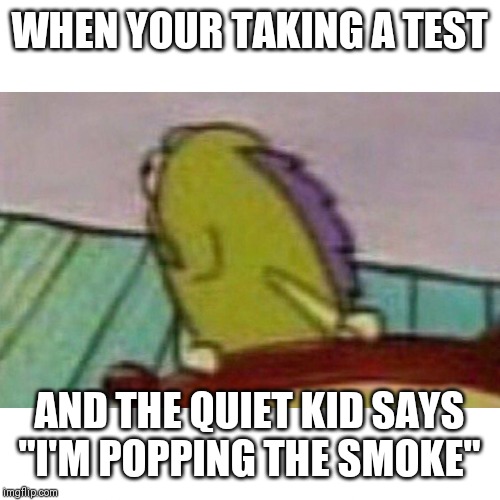 Fish looking back | WHEN YOUR TAKING A TEST; AND THE QUIET KID SAYS "I'M POPPING THE SMOKE" | image tagged in fish looking back | made w/ Imgflip meme maker