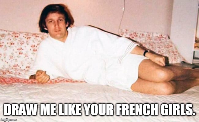 Trump Feeling Cute Might Release Immigrants Sanctuary Cities | DRAW ME LIKE YOUR FRENCH GIRLS. | image tagged in trump feeling cute might release immigrants sanctuary cities | made w/ Imgflip meme maker
