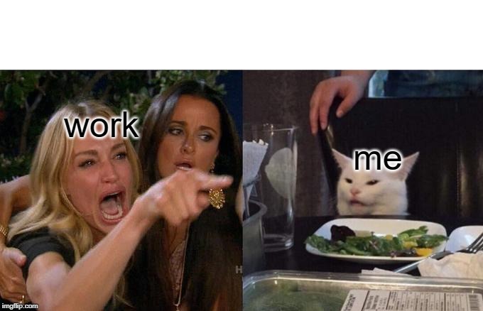 Woman Yelling At Cat | work; me | image tagged in memes,woman yelling at cat | made w/ Imgflip meme maker