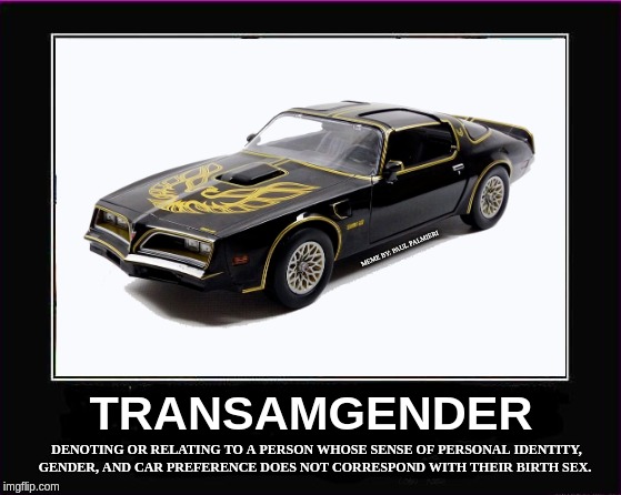 Transamgender: I feel like a muscle car. | MEME BY: PAUL PALMIERI | image tagged in trans am,transgender,stranger things,funny memes,muscle car,tired of hearing about transgenders | made w/ Imgflip meme maker
