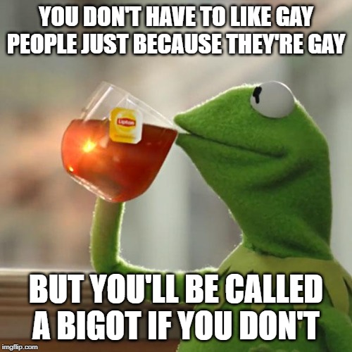 But That's Bigotry | YOU DON'T HAVE TO LIKE GAY PEOPLE JUST BECAUSE THEY'RE GAY; BUT YOU'LL BE CALLED A BIGOT IF YOU DON'T | image tagged in but thats none of my business,kermit the frog,so true memes,bigotry,life lessons,double standards | made w/ Imgflip meme maker