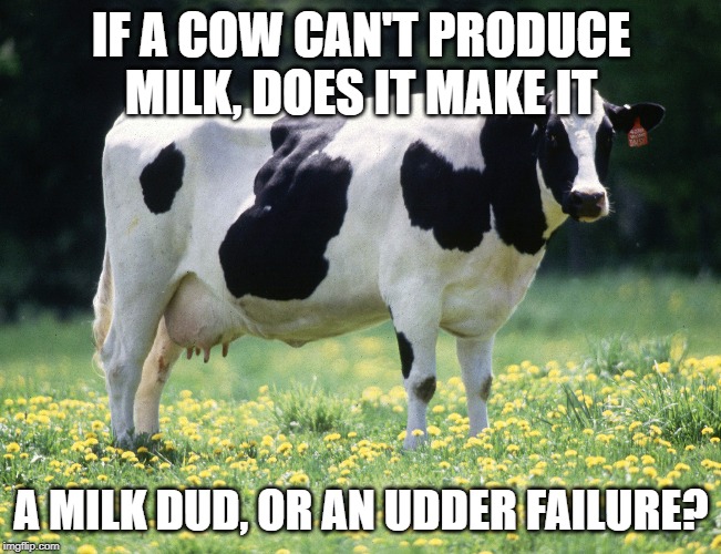 Dairy Cows | IF A COW CAN'T PRODUCE MILK, DOES IT MAKE IT; A MILK DUD, OR AN UDDER FAILURE? | image tagged in milk | made w/ Imgflip meme maker