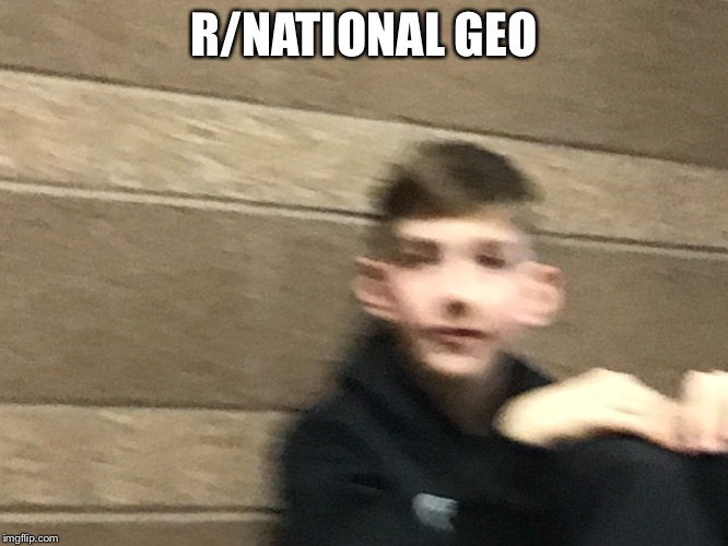 R/NATIONAL GEO | made w/ Imgflip meme maker