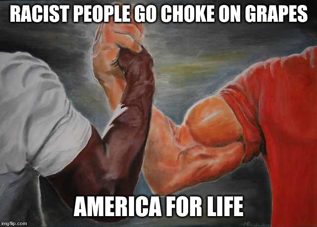 Agreement | RACIST PEOPLE GO CHOKE ON GRAPES; AMERICA FOR LIFE | image tagged in agreement | made w/ Imgflip meme maker