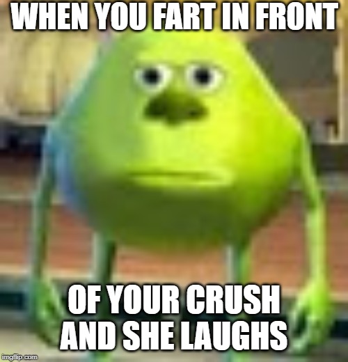 Sully Wazowski | WHEN YOU FART IN FRONT; OF YOUR CRUSH AND SHE LAUGHS | image tagged in sully wazowski | made w/ Imgflip meme maker