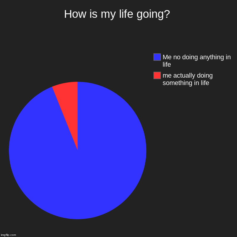 Life | How is my life going? | me actually doing something in life , Me no doing anything in life | image tagged in charts,pie charts | made w/ Imgflip chart maker