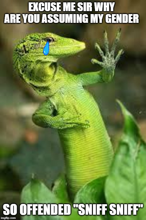 lizard | EXCUSE ME SIR WHY ARE YOU ASSUMING MY GENDER; SO OFFENDED "SNIFF SNIFF" | image tagged in lizard | made w/ Imgflip meme maker