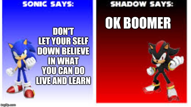 sonic and shadow says | OK BOOMER; DON'T LET YOUR SELF DOWN BELIEVE IN WHAT YOU CAN DO LIVE AND LEARN | image tagged in sonic the hedgehog,shadow the hedgehog | made w/ Imgflip meme maker