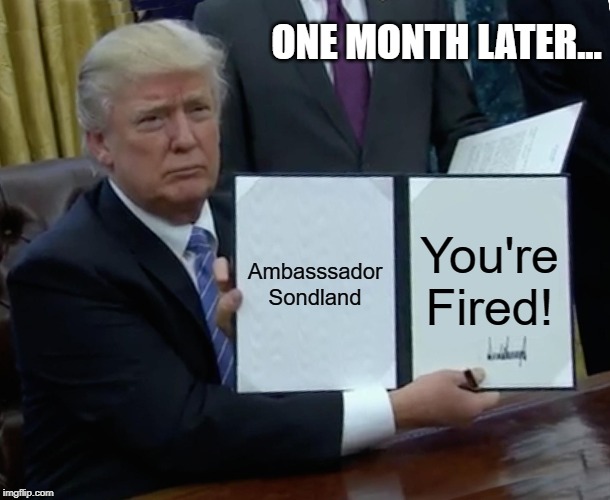 Trump Bill Signing | ONE MONTH LATER... Ambasssador
Sondland; You're Fired! | image tagged in memes,trump bill signing | made w/ Imgflip meme maker